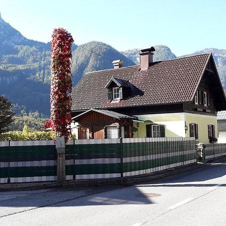 Haus Fratnik Appartement Obertraun Buitenkant foto
